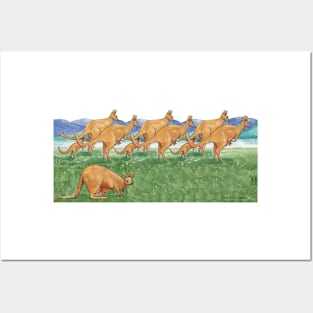 Kangaroo Family Mob Posters and Art